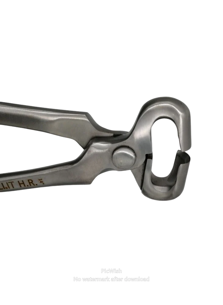 Bassoli 14" Half Round Nipper - Image 2