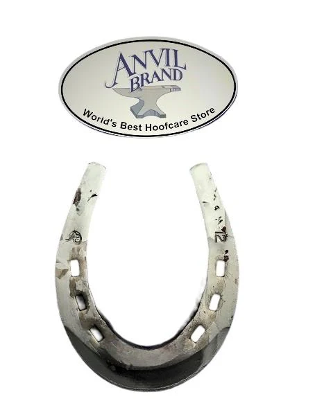 Die B 1/2 x 1 Rolled Toe Punched 12" Horseshoe