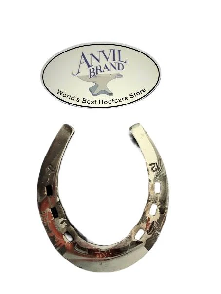 Die G 3/8 x 1 Punched 12" Egg Toe Hind Horseshoe