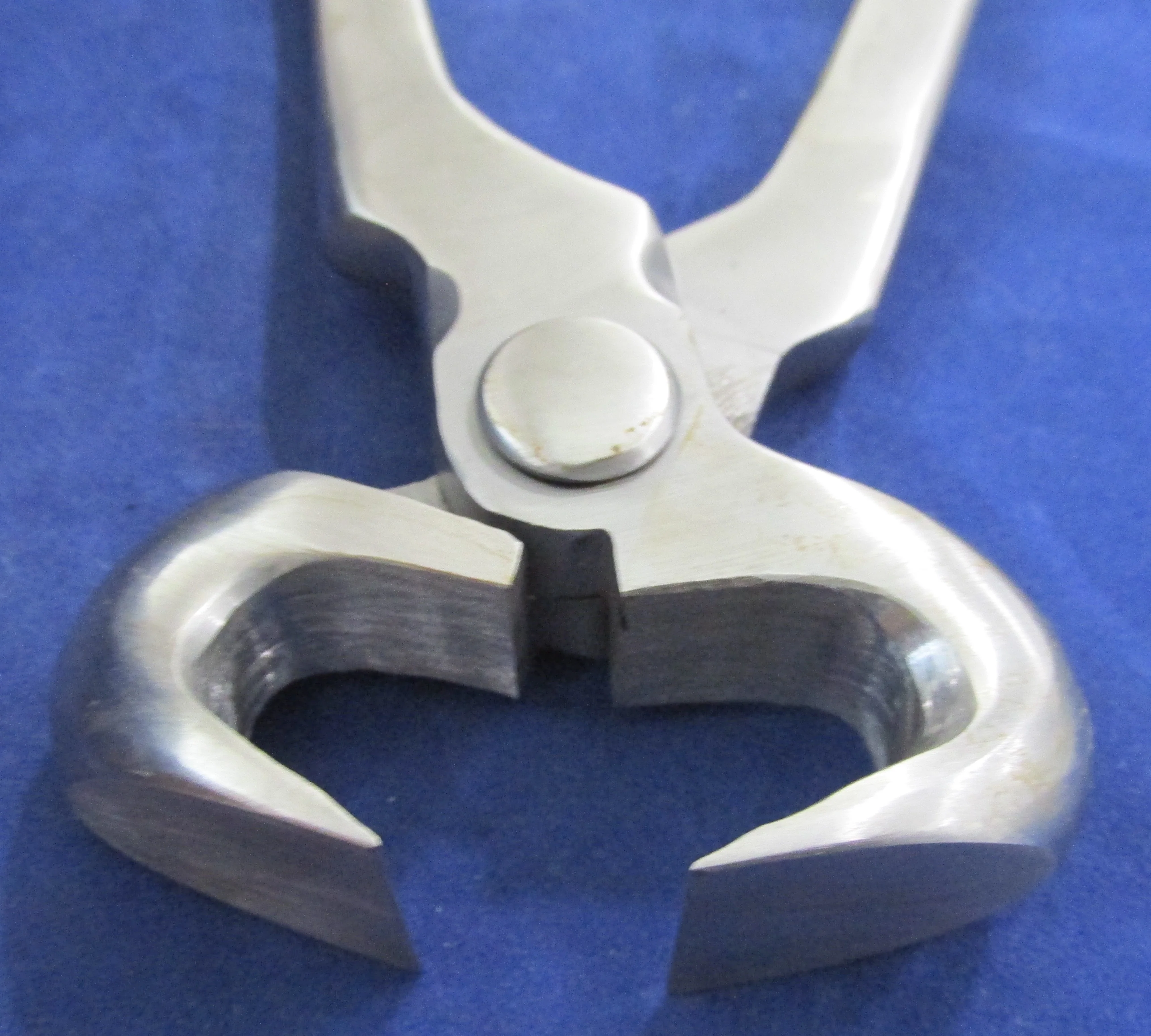 Standard 14" Hoof Nipper - Image 2
